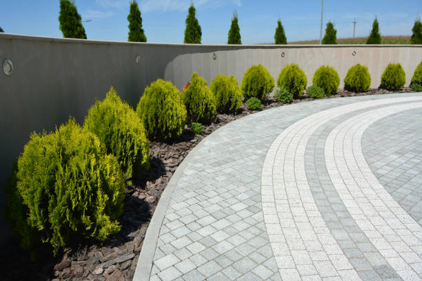 Best Residential Paver Driveway  in Saticoy, CA